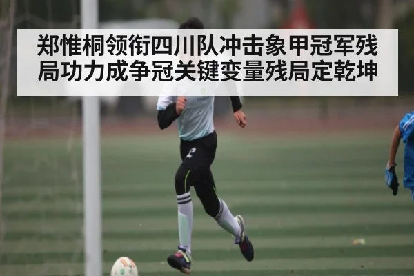 郑惟桐领衔四川队冲击象甲冠军残局功力成争冠关键变量残局定乾坤